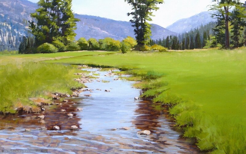 Stream in a green valley