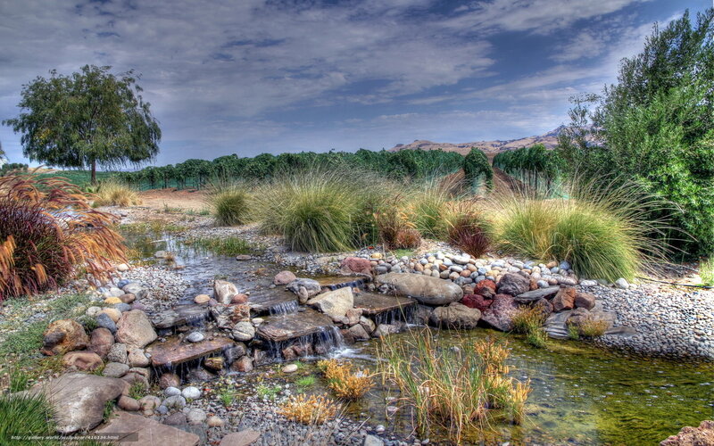 Stream in a landscaped garden