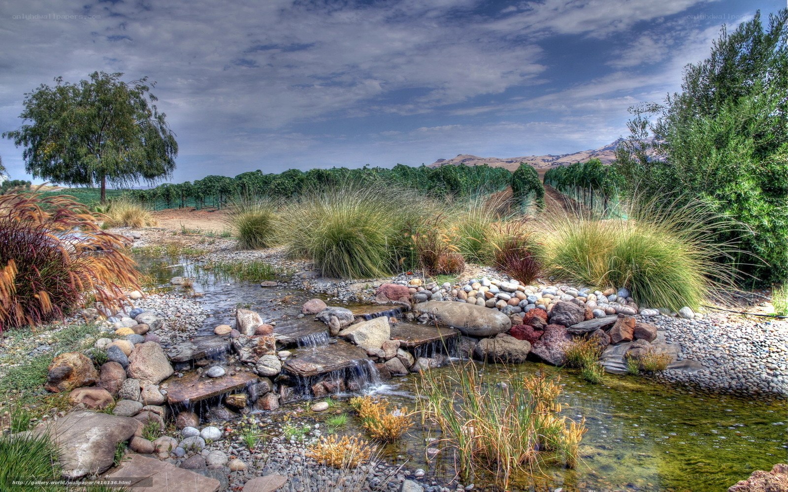 Stream in a landscaped garden