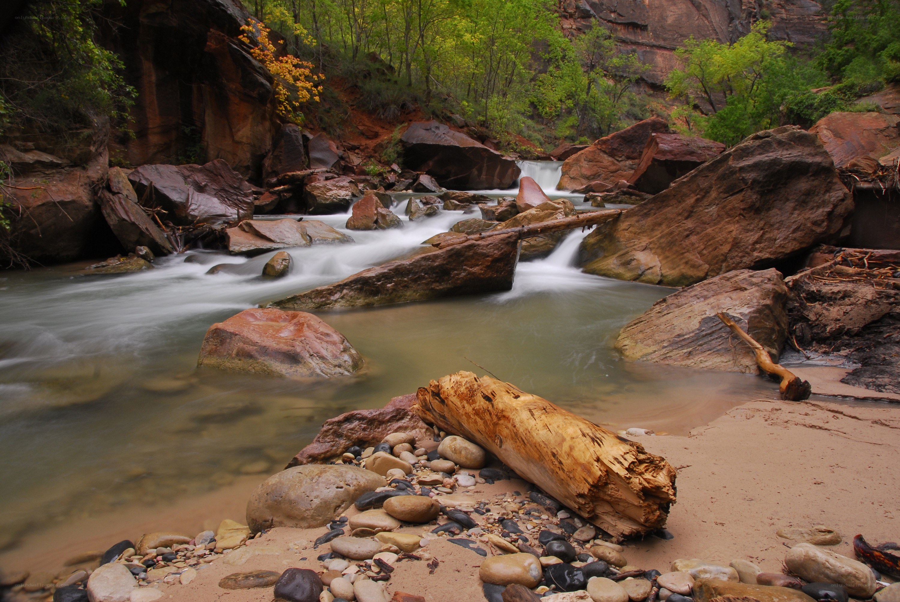Stream in a rocky canyon