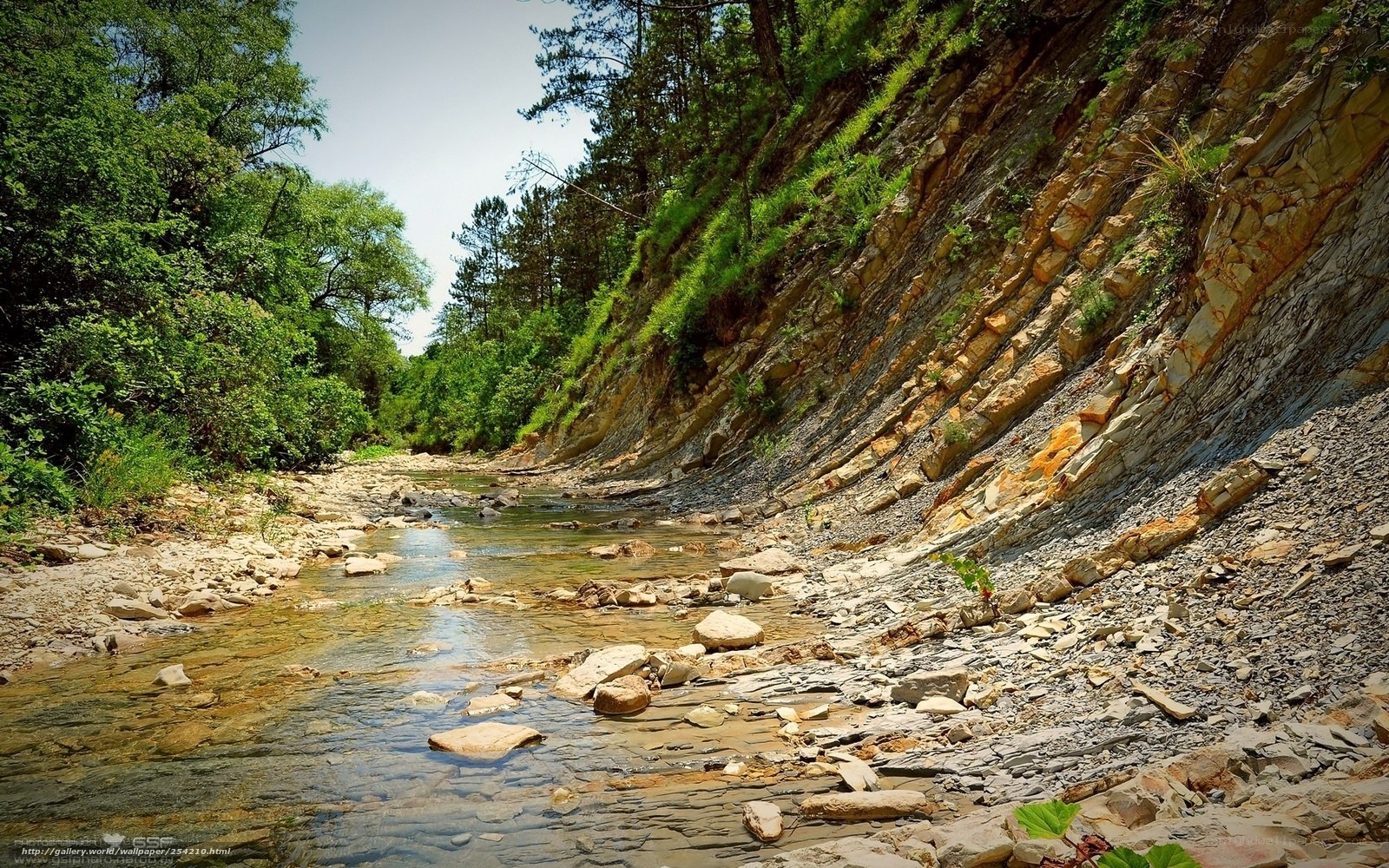 Stream in a rocky canyon