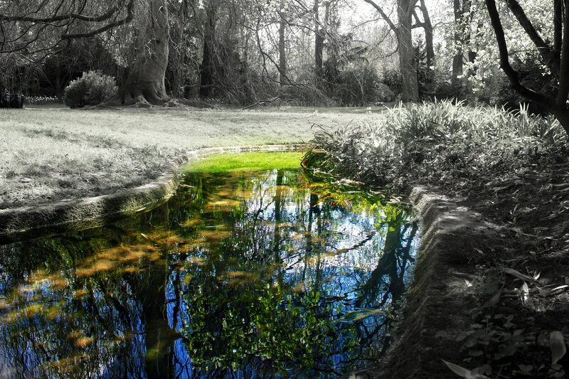 Stream in a tranquil park