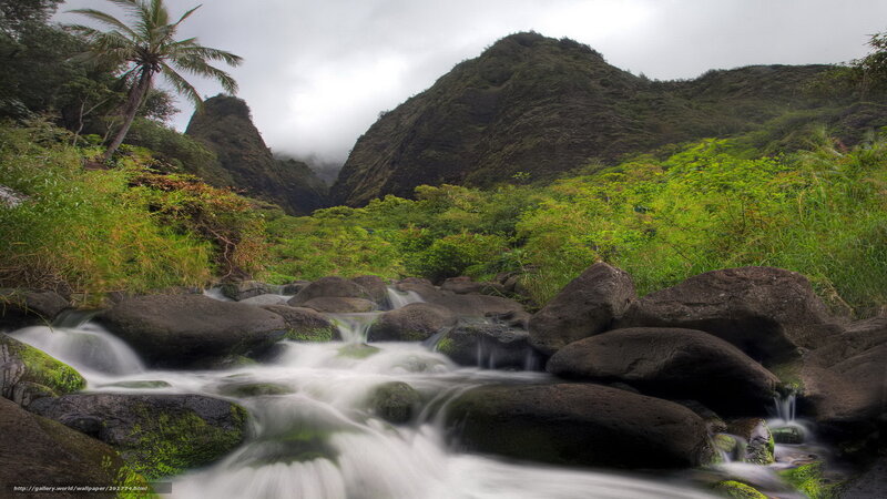 Stream in a tropical valley