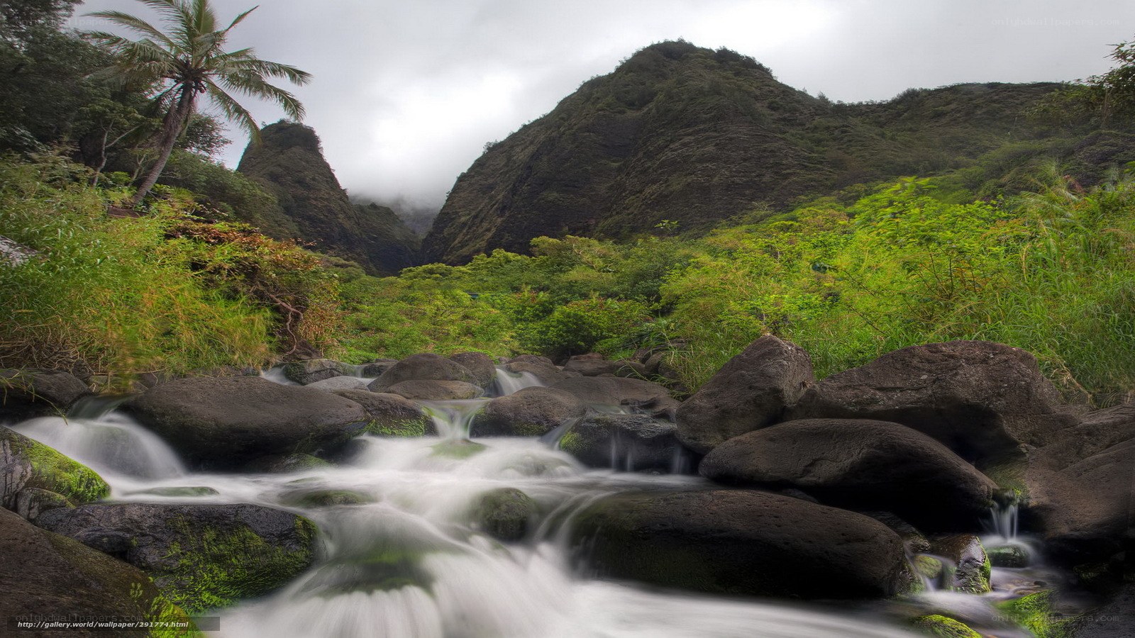 Stream in a tropical valley