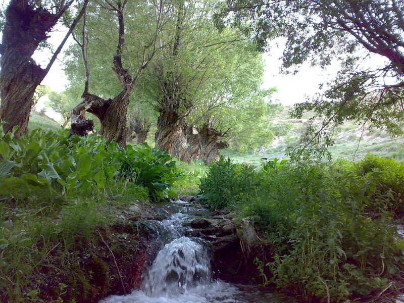 Stream in a wooded valley