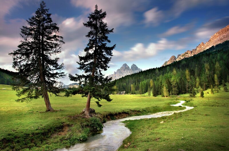 Stream in Alpine Meadow