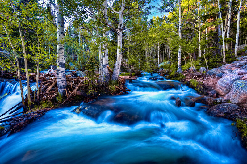 Stream in Aspen Forest — Blue