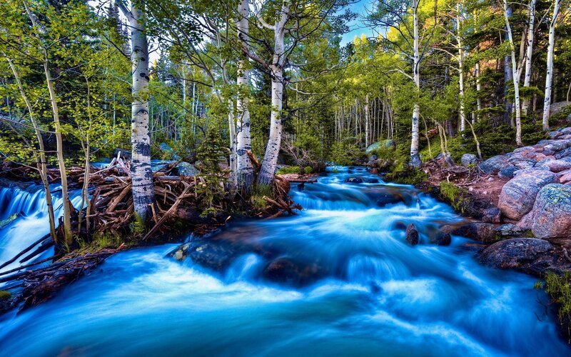 Stream in aspen forest