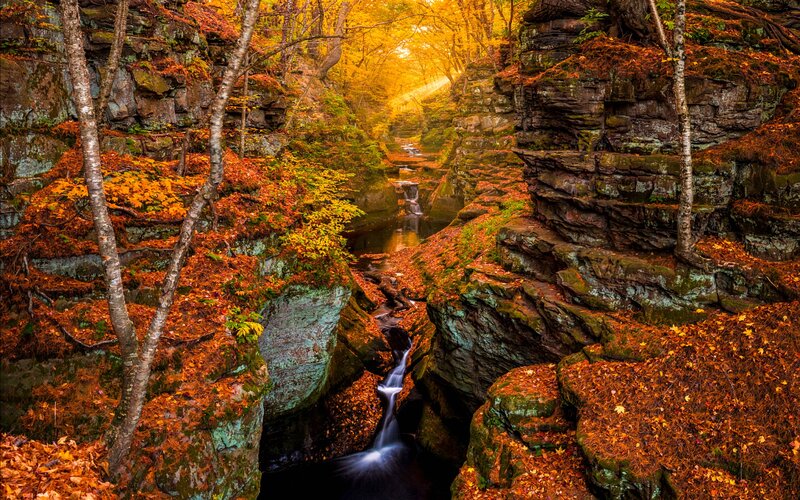 Stream in Autumn Canyon