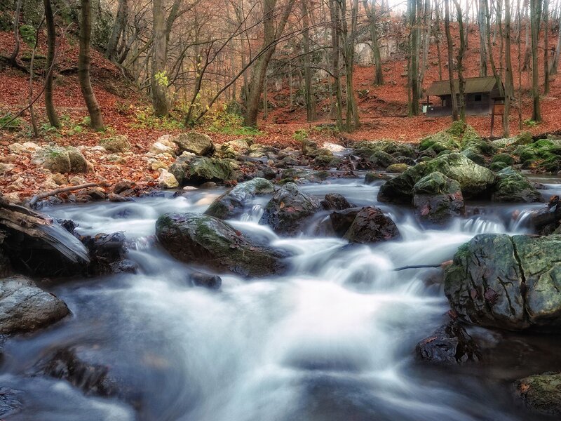 Stream in autumn forest
