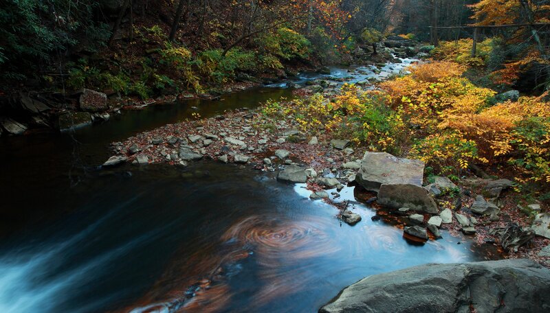 Stream in Autumn Forest — Blue, Serene, Photograph, River