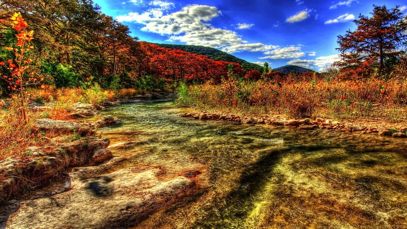Stream in Autumn Forest — Blue, Serene, Photograph, Trees, River