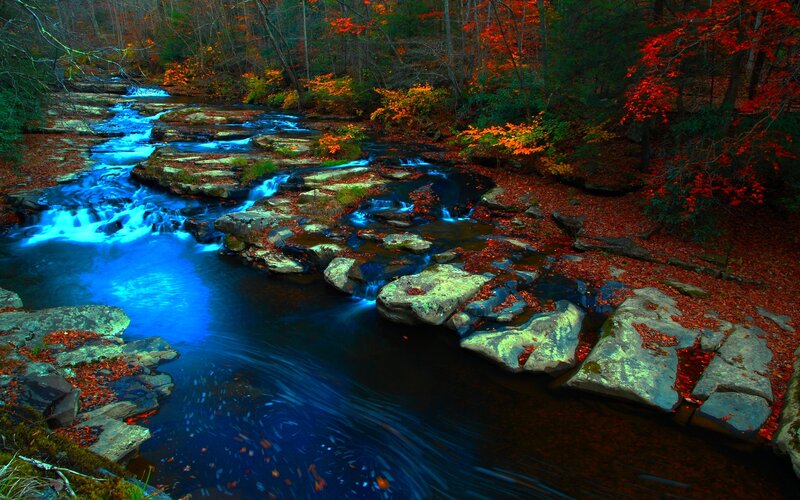 Stream in Autumn Forest — Blue, Serene, Photograph, Trees