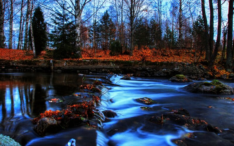 Stream in Autumn Forest — Blue, Serene
