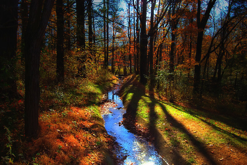 Stream in Autumn Forest — Blue