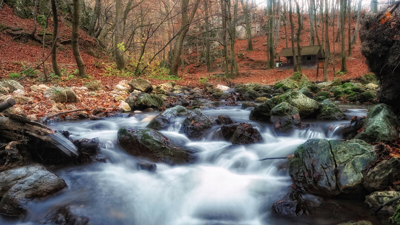 Stream in Autumn Forest — Brown, Serene, Photograph, Trees, Rocks, Fallen Leaves