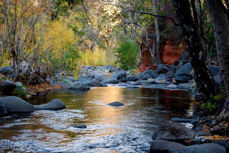 Stream in Autumn Forest — Brown, Serene, Photograph, Trees, Rocks, River, Yellow