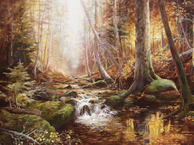Stream in Autumn Forest — Brown