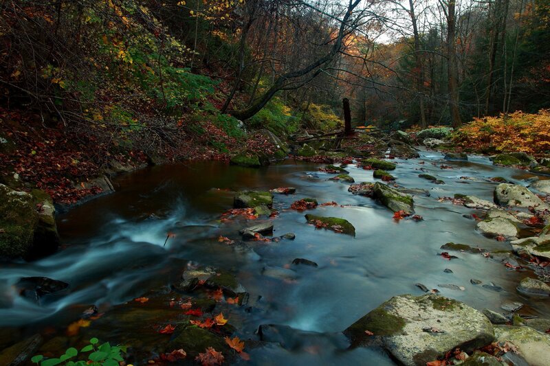 Stream in Autumn Forest — Green, Blue