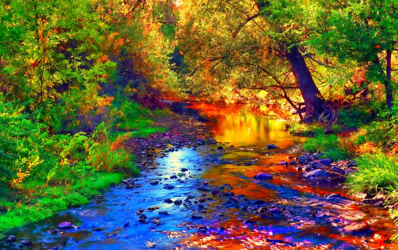 Stream in Autumn Forest — Green, Serene, Digital Art, Trees, Rocks