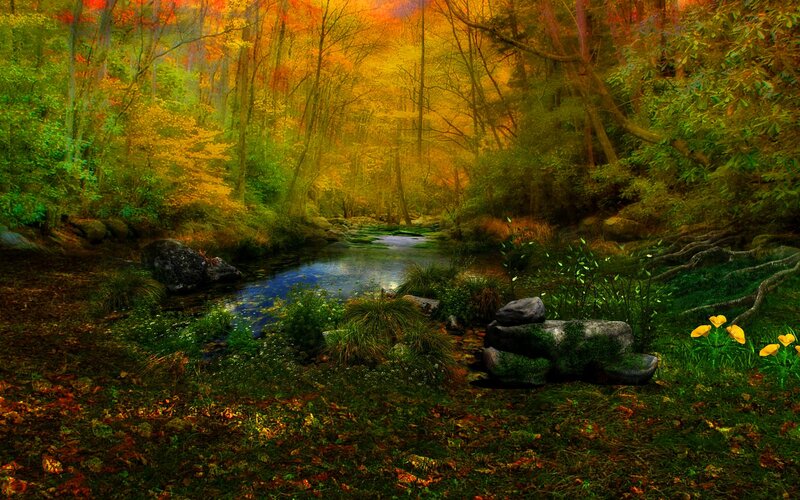 Stream in Autumn Forest — Green, Serene, Digital Art, Trees