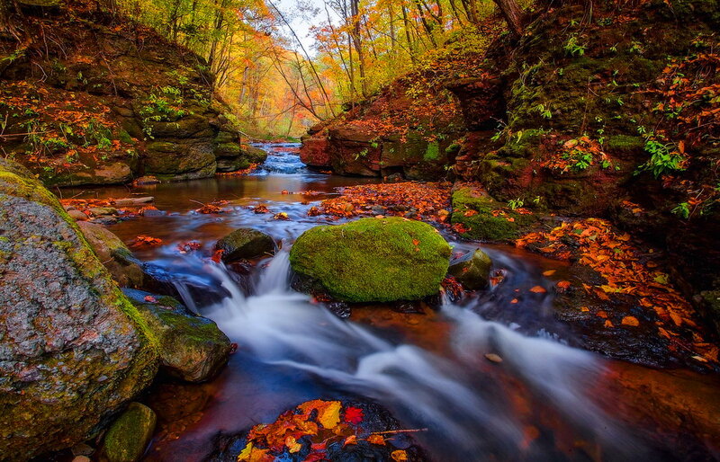 Stream in Autumn Forest — Green, Serene, Photograph, Fallen Leaves, Mossy Rocks