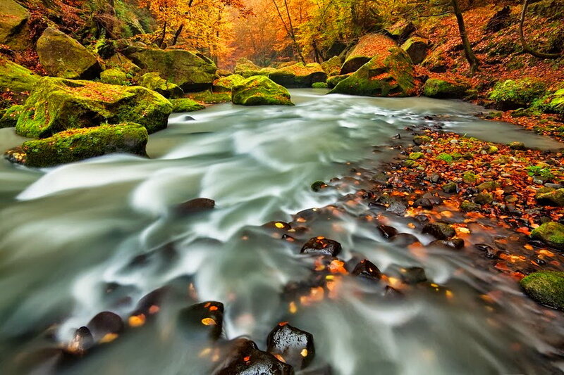 Stream in Autumn Forest — Green, Serene, Photograph, River, Rocks, Fallen Leaves