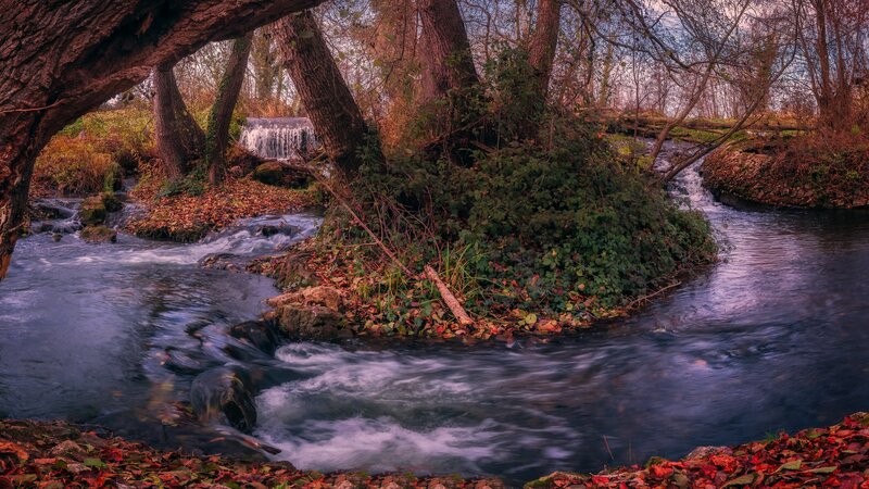 Stream in Autumn Forest — Green, Serene, Photograph, Trees, Fallen Leaves, Waterfall