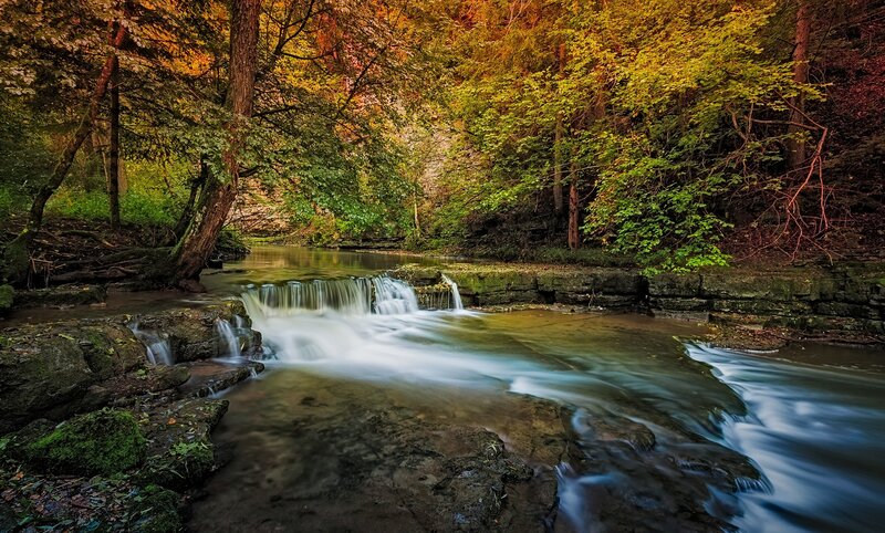 Stream in Autumn Forest — Green, Serene, Photograph, Trees, Rocks, Falling Water