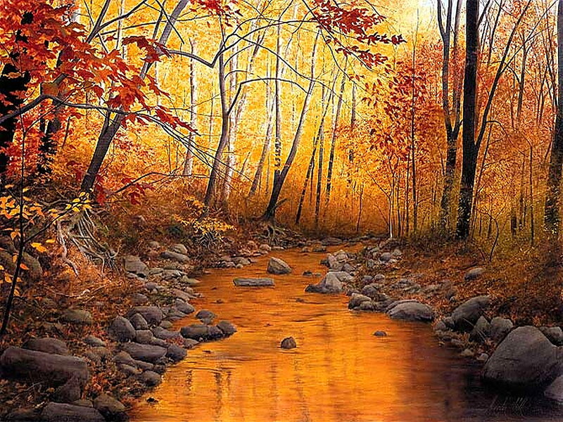 Stream in Autumn Forest — Orange, Serene, Painting, Trees