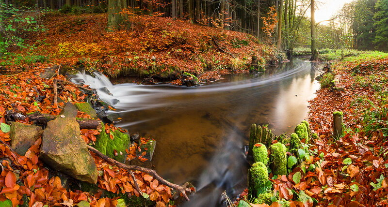 Stream in Autumn Forest — Orange, Serene, Photograph, Fallen Leaves, Mossy Rocks