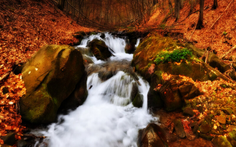 Stream in Autumn Forest — Orange, Serene, Photograph, Fallen Leaves, Rocks, Trees, Moss