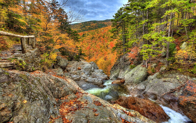 Stream in Autumn Forest — Orange, Serene, Photograph, River, Rocks, Trees