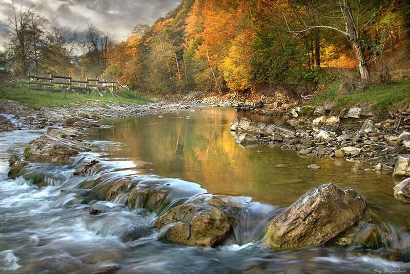 Stream in Autumn Forest — Orange, Serene, Photograph, River