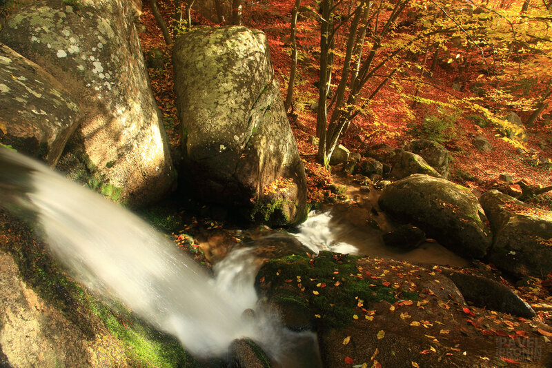 Stream in Autumn Forest — Orange, Serene, Photograph, Rocks, Fallen Leaves, Trees
