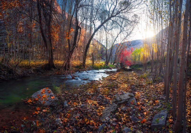 Stream in Autumn Forest — Orange, Serene, Photograph, Trees, Leaves, Rocks, Mountains
