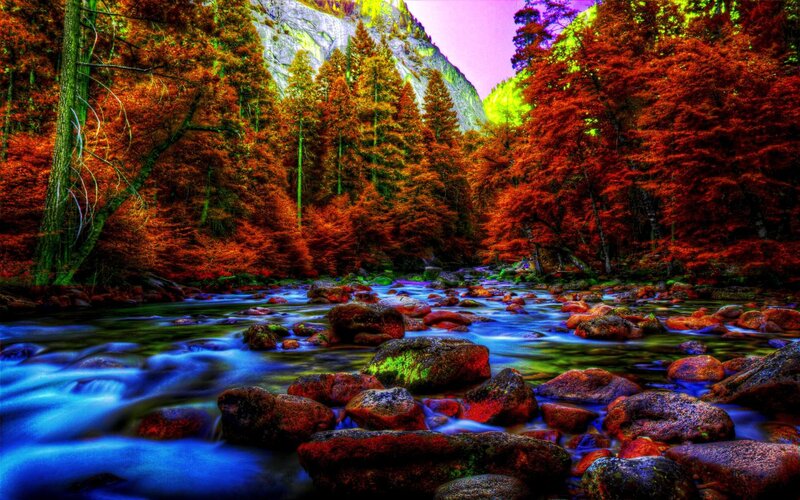 Stream in Autumn Forest — Red, Dramatic, Photograph