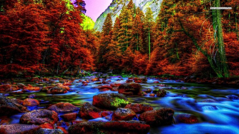 Stream in Autumn Forest — Red, Dramatic, Photograph, Trees