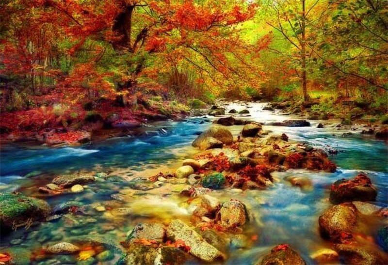 Stream in Autumn Forest — Red, Serene, Digital Art