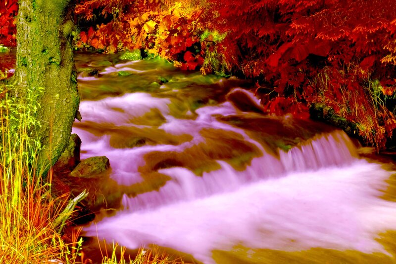 Stream in Autumn Forest — Red, Serene, Photograph, Tree