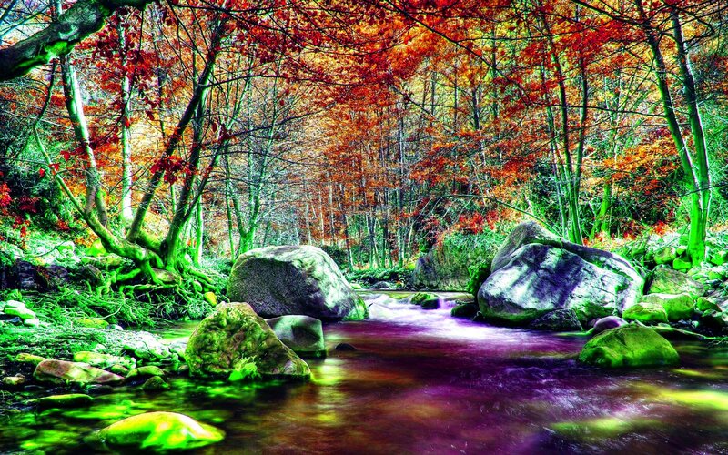 Stream in Autumn Forest — Red, Serene, Photograph, Trees, Rocks, River