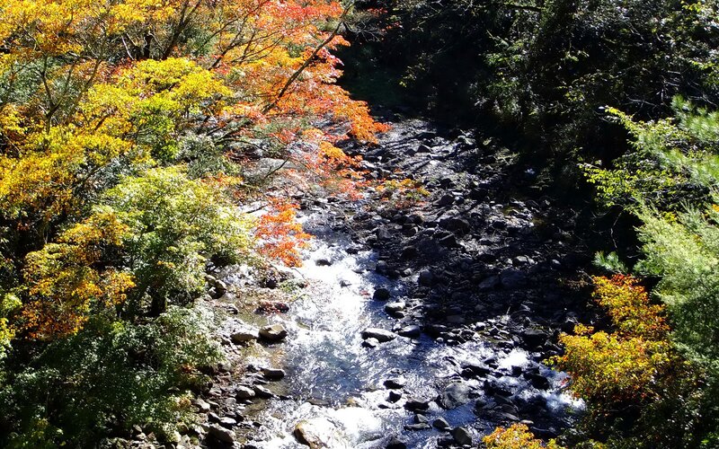 Stream in Autumn Forest — Red, Serene, Photograph, Trees, Rocks, River, Yellow, Green
