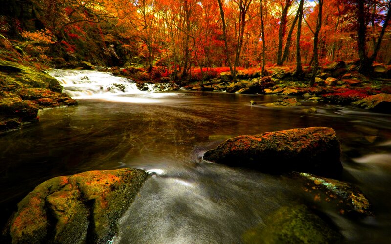Stream in Autumn Forest — Red, Serene, Photograph, Trees, Rocks, Waterfall