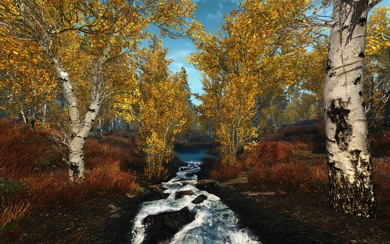 Stream in Autumn Forest — Yellow, Serene, 3d Render