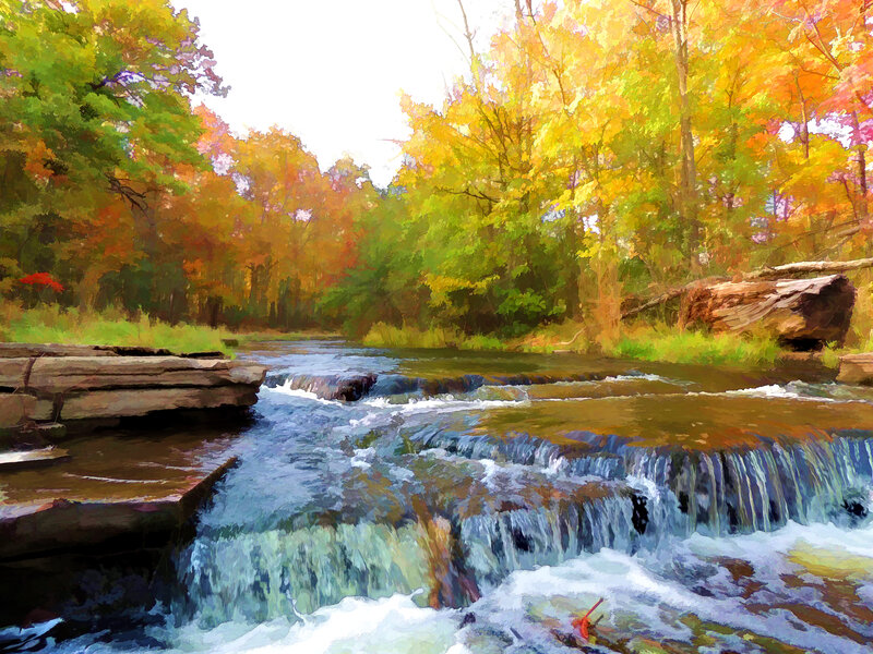 Stream in Autumn Forest — Yellow, Serene, Digital Art