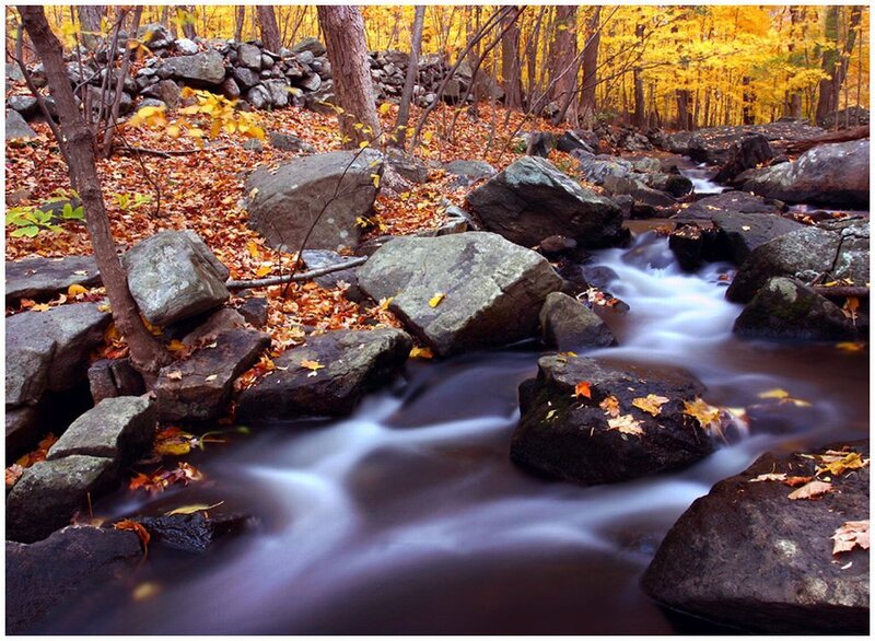 Stream in Autumn Forest — Yellow, Serene, Photograph, Rocks