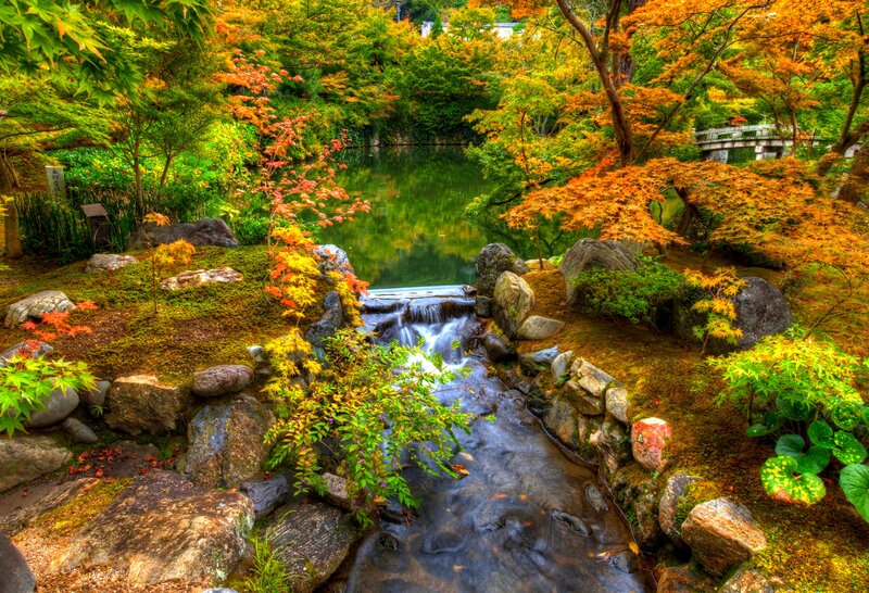 Stream in Autumn Garden — Green