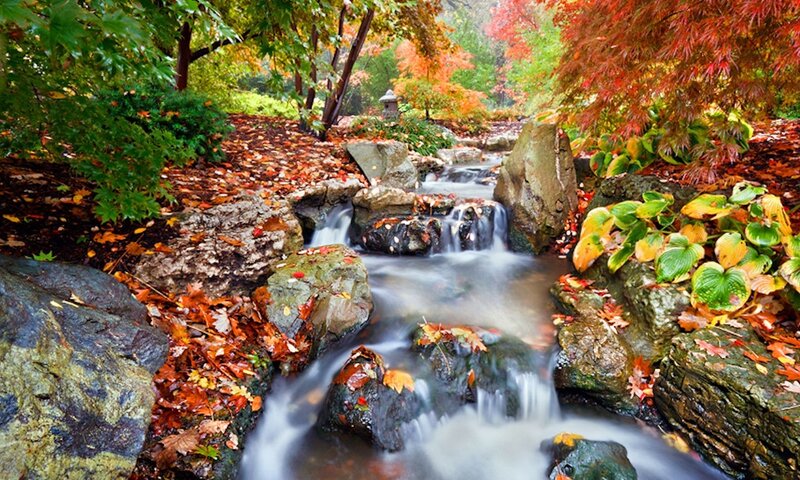 Stream in Autumn Garden — Red