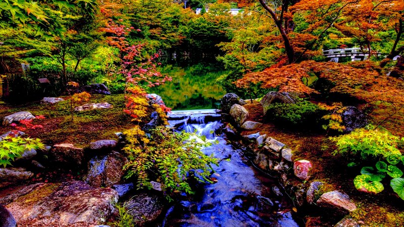 Stream in Autumn Garden