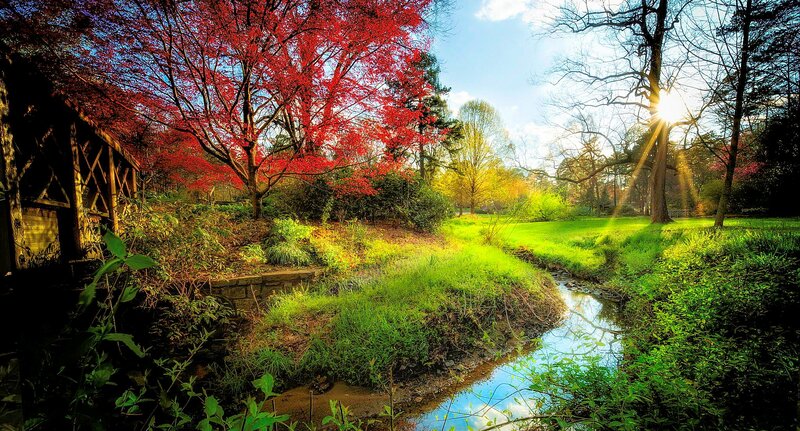 Stream in Autumn Park